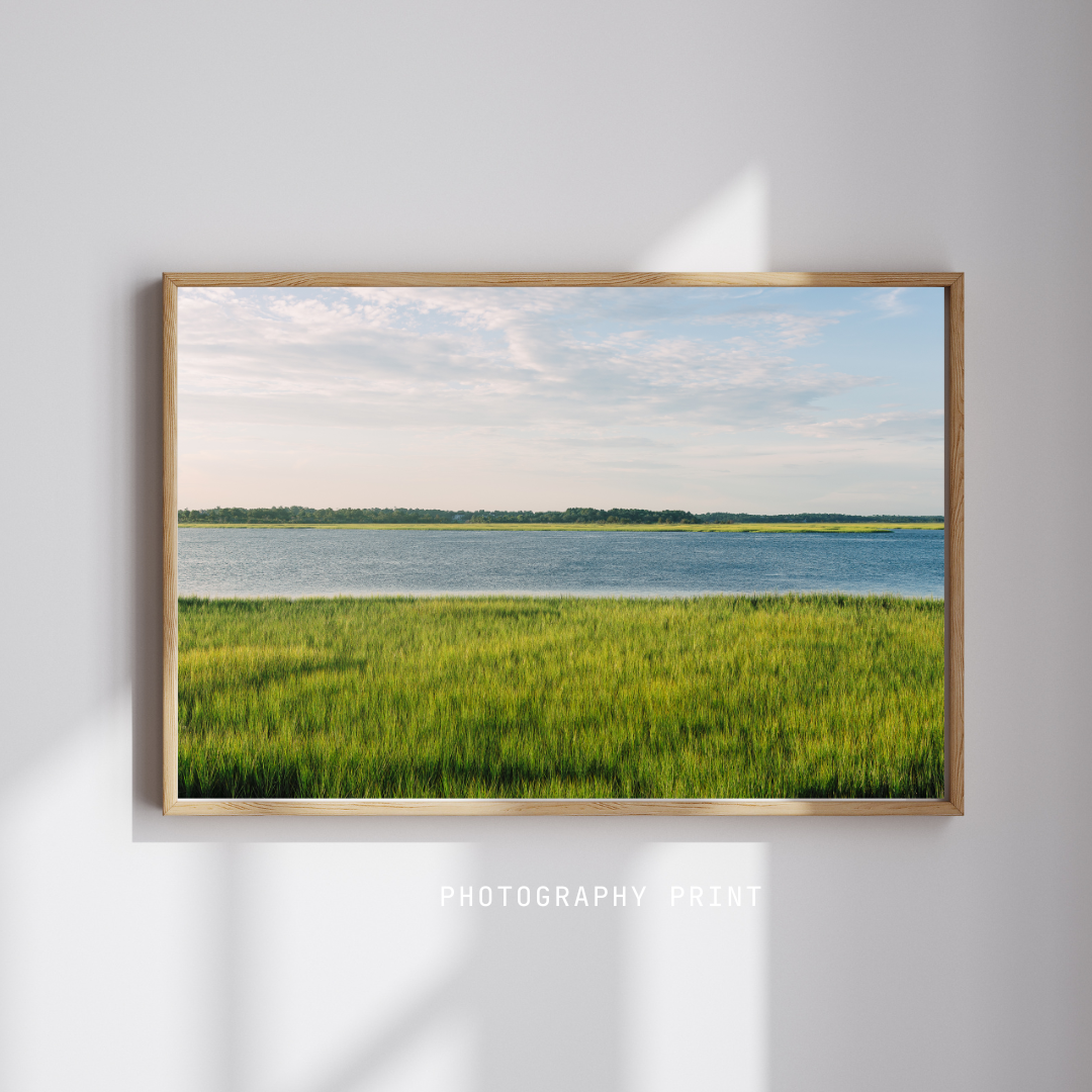 Marsh II Photography Print